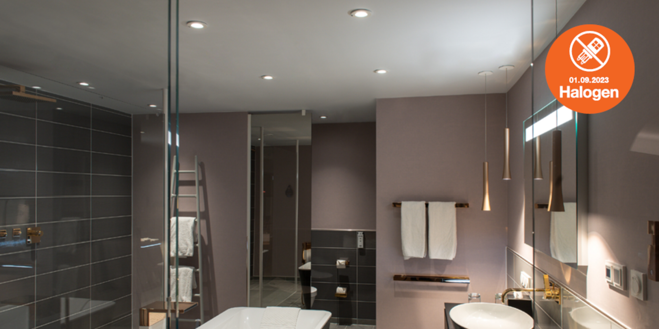 Lösungen zum Halogenlampen Verbot bei Wechsler-Elektrotechnik GmbH in Ansbach